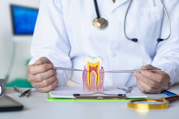 Best Emergency Treatment for Toothache in New London, MN